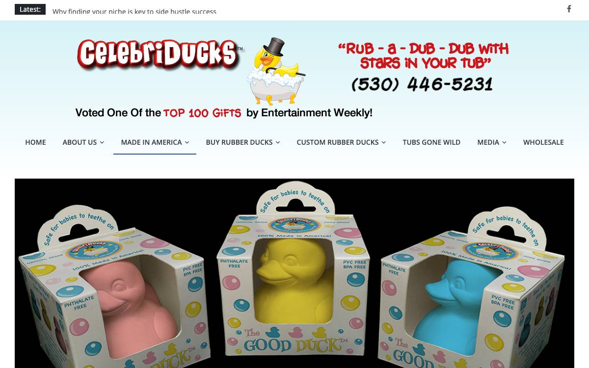 Screenshot of the website reached at celebriducks.com