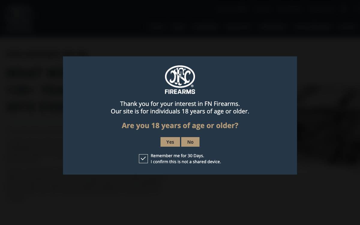 Screenshot of the website reached at fnamerica.com