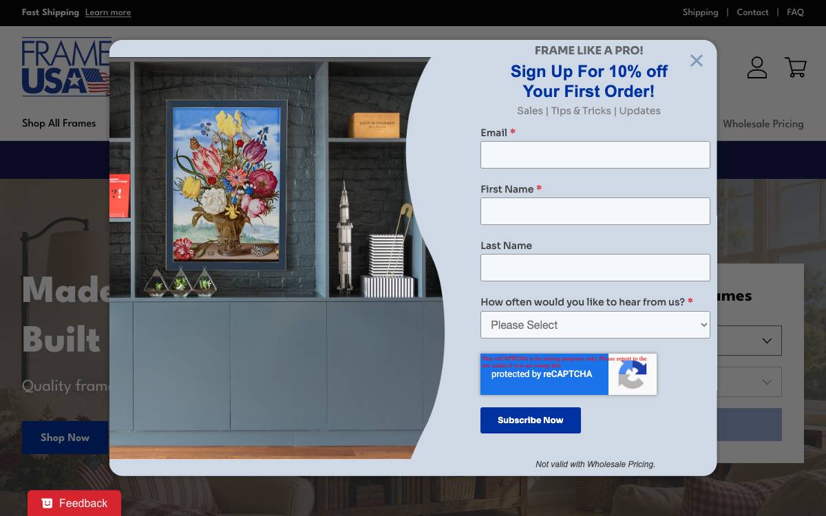 Screenshot of the website reached at frameusa.com