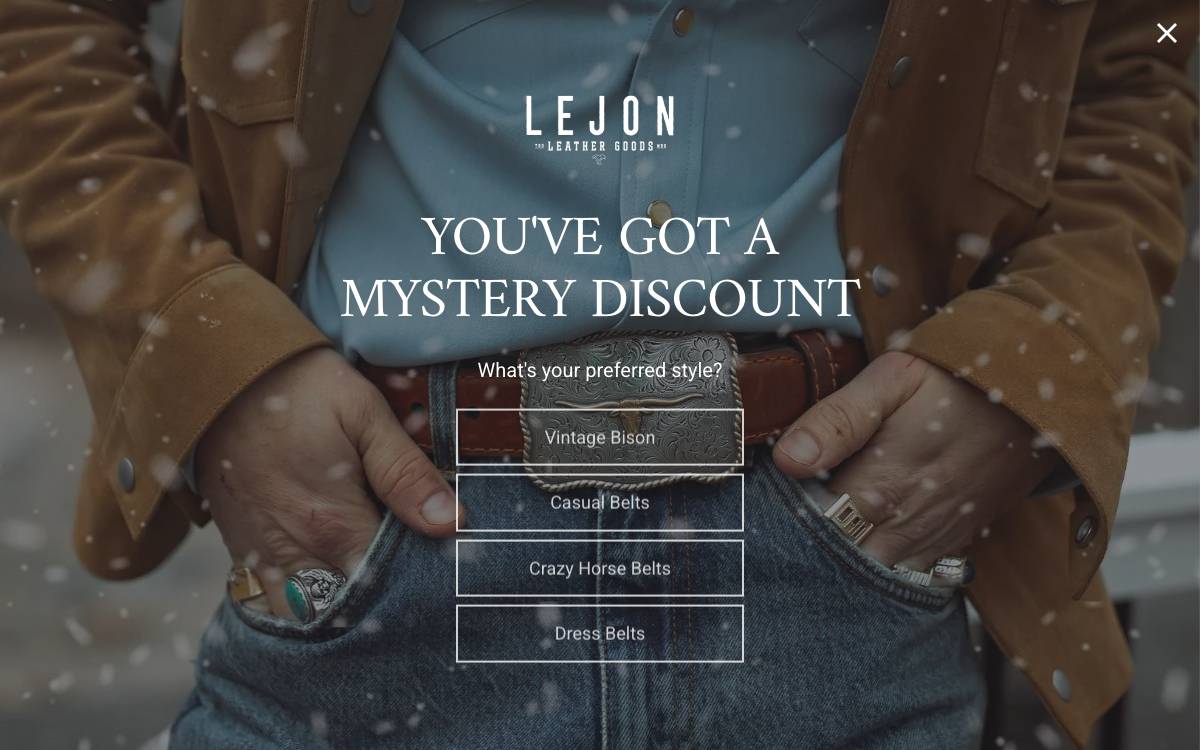 Screenshot of the website reached at lejonleathergoods.com