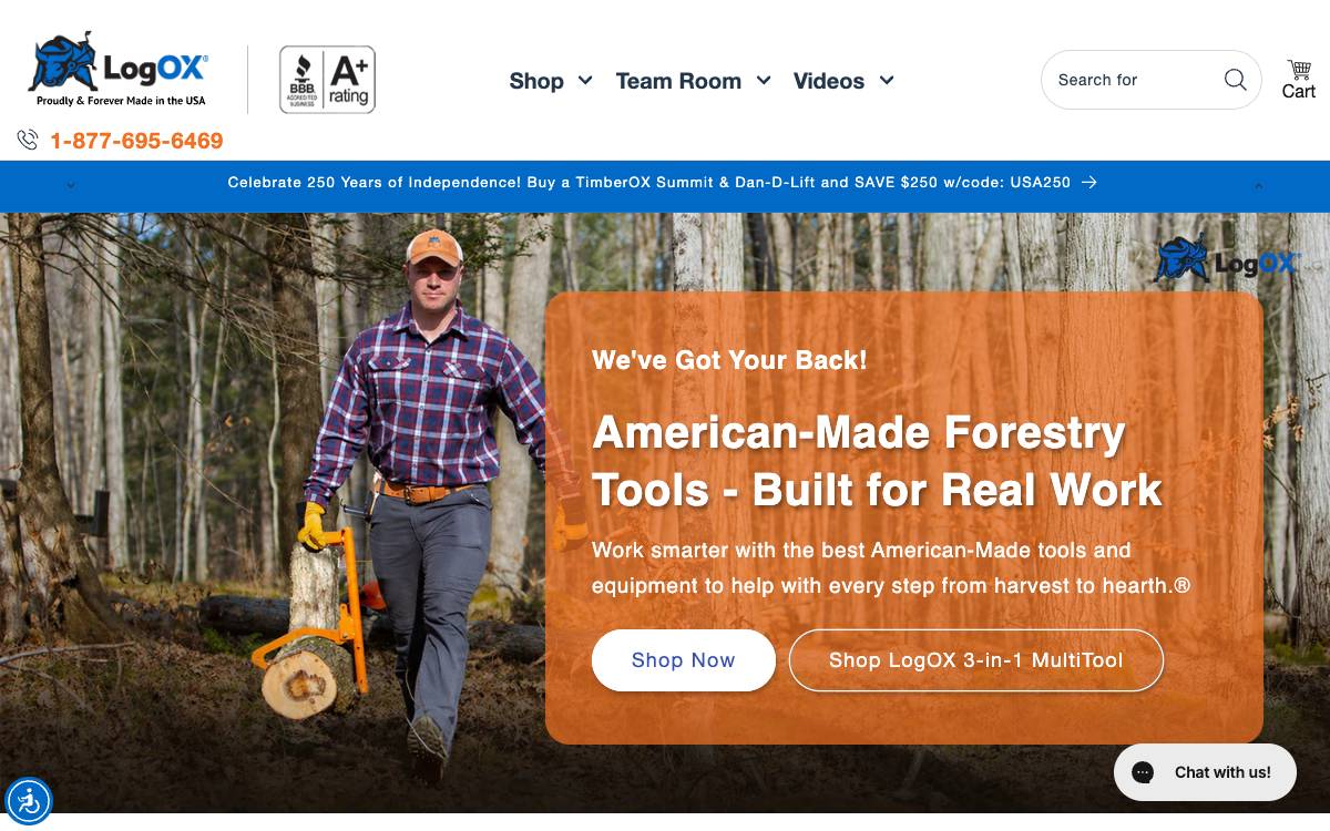 Screenshot of the website reached at thelogox.com