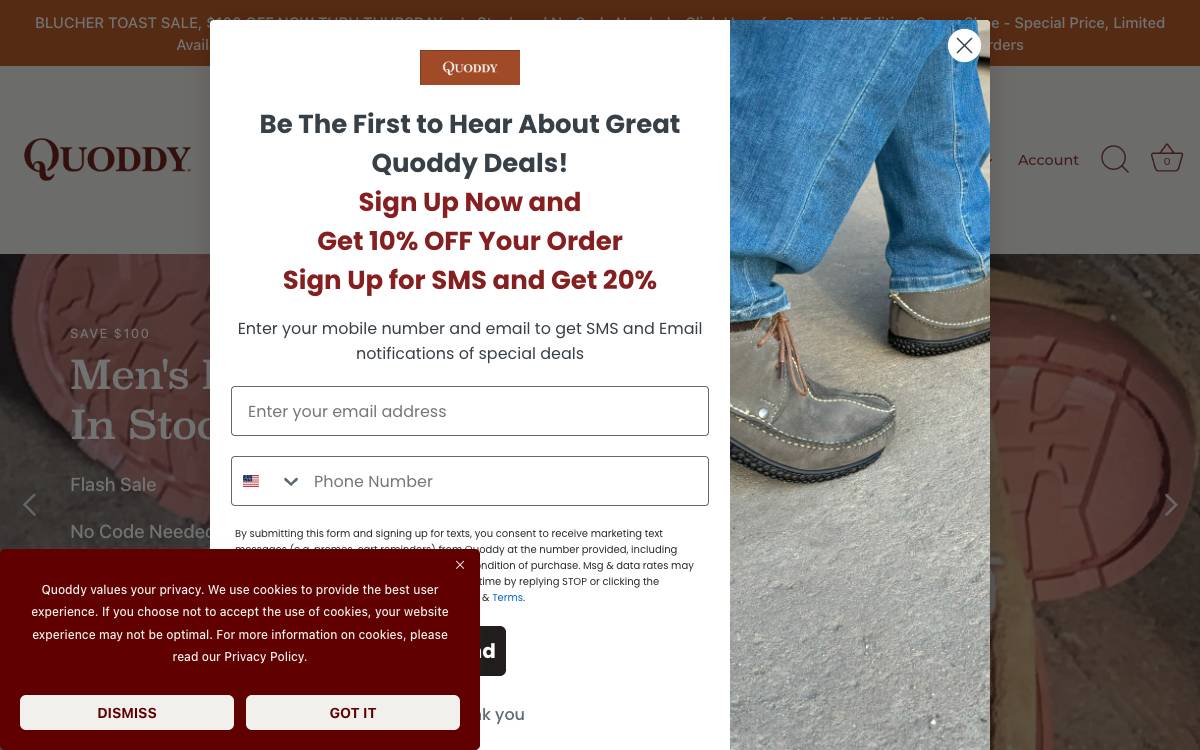 Screenshot of the website reached at quoddy.com